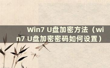 Win7 U盘加密方法（win7 U盘加密密码如何设置）